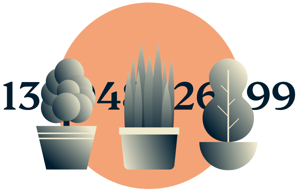Disfarce o seu endere&ccedil;o IP: Plantas em vasos escondendo um endere&ccedil;o IP.